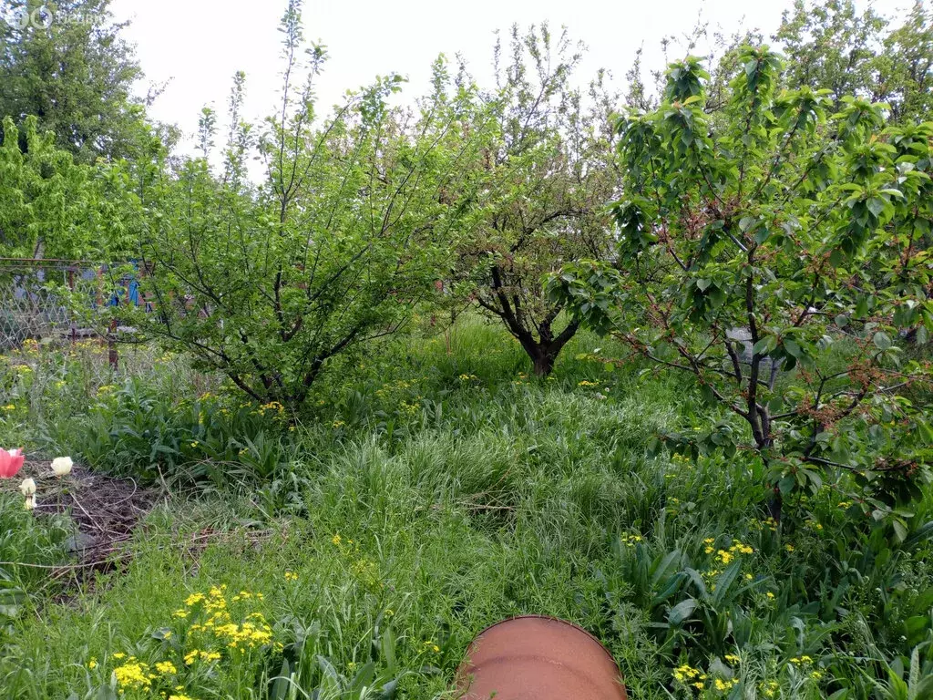 Дом в посёлок Широчанка, садовое товарищество Дружба (34 м) - Фото 1