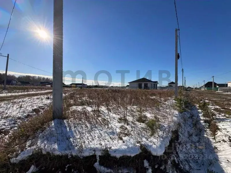 Участок в Тюменская область, Тюменский муниципальный округ, д. ... - Фото 2