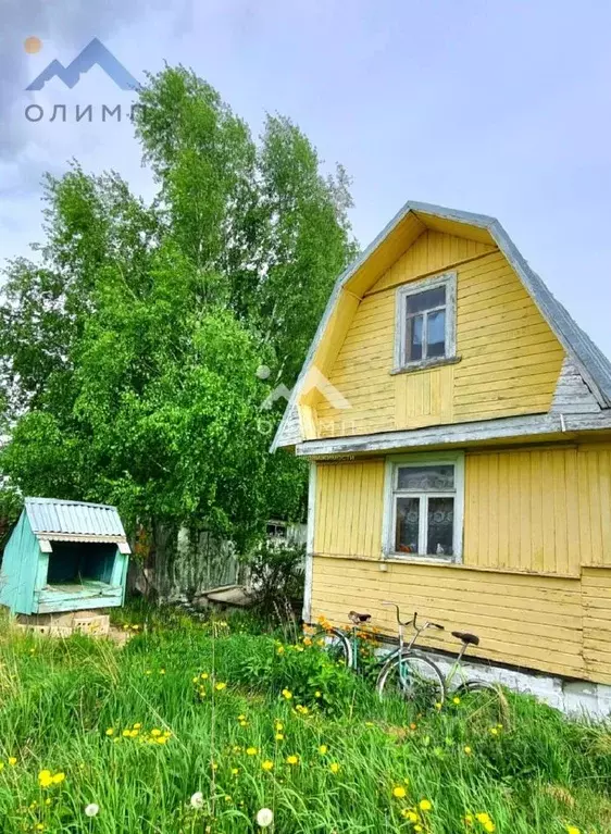 Дом в Вологодская область, Колос садоводческое товарищество  (36 м) - Фото 1