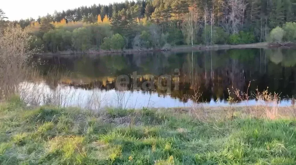 Участок в Ленинградская область, Лодейнопольский район, Алеховщинское ... - Фото 1