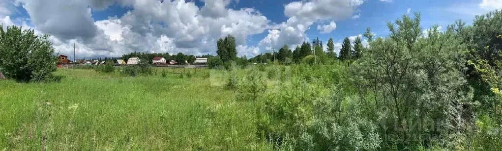 Участок в Иркутская область, Усольский район, Большееланское ... - Фото 2