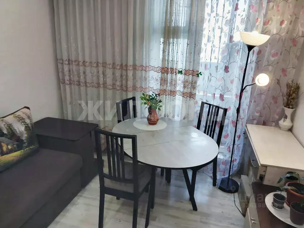 Студия Новосибирская область, Новосибирск ул. Забалуева, 92 (22.8 м) - Фото 1