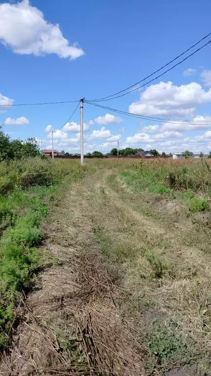 Участок в Саратовская область, с. Михайловка ул. Садовая (13.0 сот.) - Фото 2