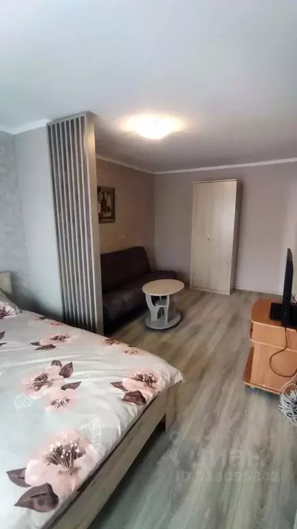 1-к кв. Красноярский край, Красноярск ул. Карла Маркса, 133 (33.0 м) - Фото 0