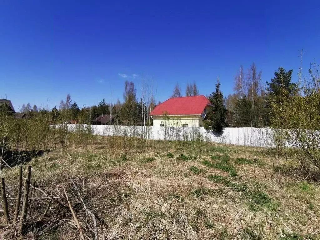Участок в Ленинградская область, Всеволожский район, Агалатовское ... - Фото 1