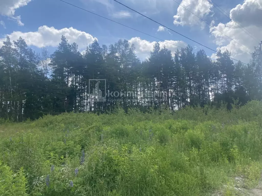 Участок в Владимирская область, Ковровский район, Новосельское с/пос, ... - Фото 1