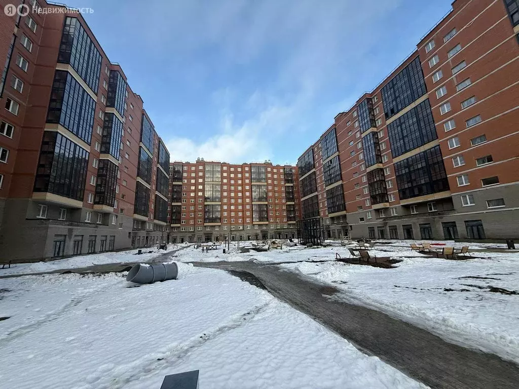 Помещение свободного назначения (54.53 м) - Фото 1