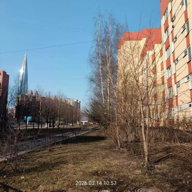 1-к кв. Санкт-Петербург ул. Савушкина, 145 (36.5 м) - Фото 2