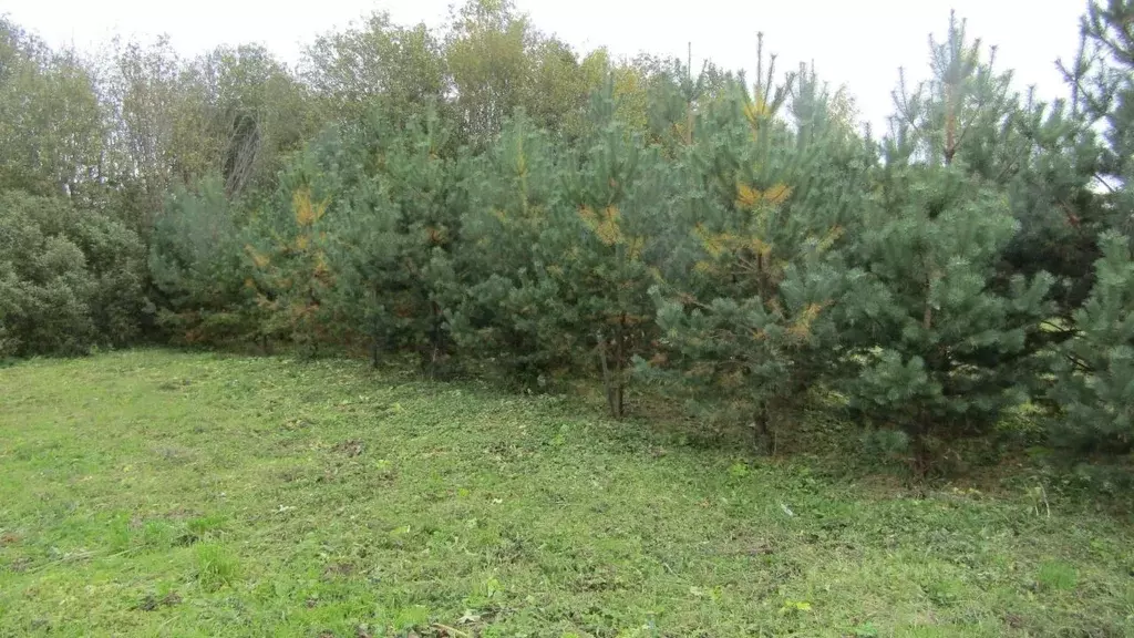 Участок в Московская область, Рузский муниципальный округ, д. Лыщиково ... - Фото 1