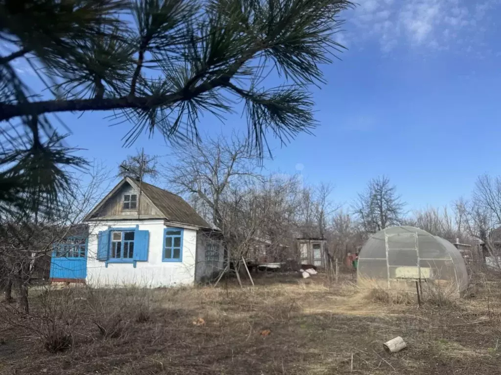 Дом в Саратовская область, Саратов Полуостров СНТ,  (42 м) - Фото 1