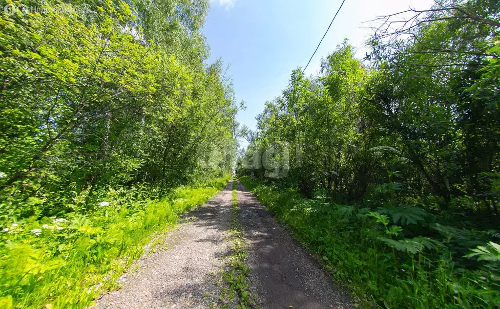 Участок в посёлок Апрель, улица Есенина (13 м) - Фото 2