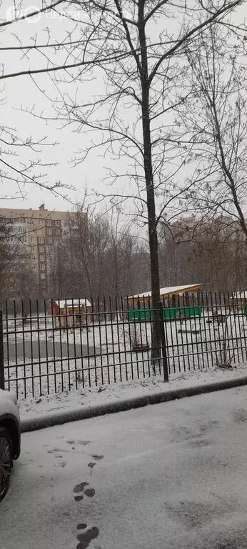 2-комнатная квартира: Санкт-Петербург, Альпийский переулок, 10 (44.5 ... - Фото 2