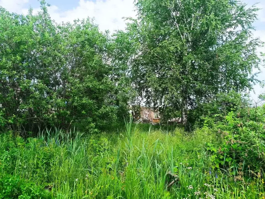 Участок в Кемеровская область, Тайга Красноармейская ул., 25 (8.5 ... - Фото 2