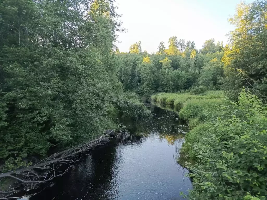 Участок в Ленинградская область, Киришский район, Будогощское ... - Фото 1