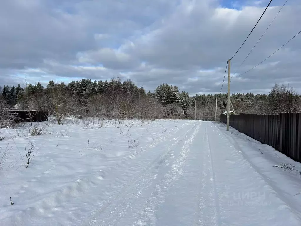 Участок в Владимирская область, Александровский район, Андреевское ... - Фото 1