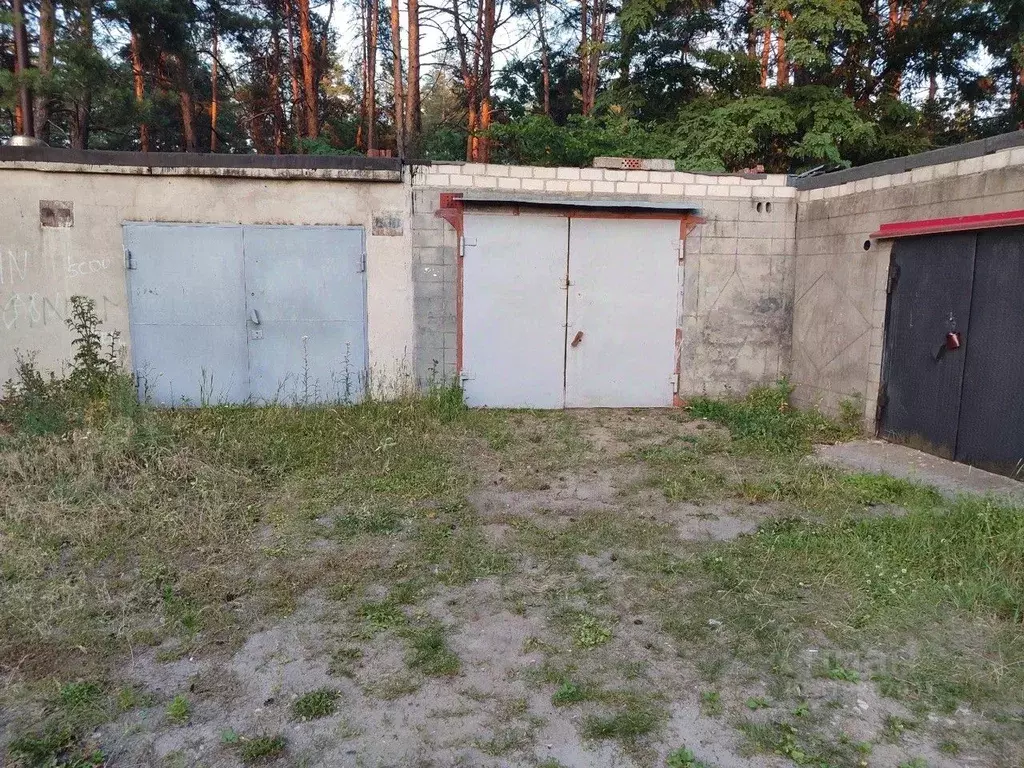 Гараж в Белгородская область, Шебекинский муниципальный округ, Маслова ... - Фото 0
