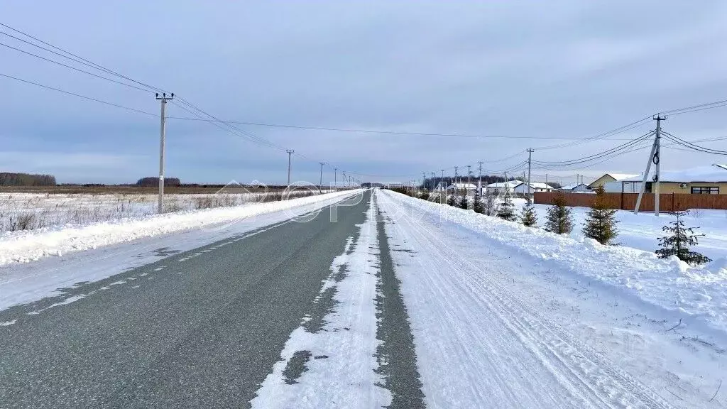Участок в Тюменская область, Тюменский муниципальный округ, ... - Фото 2