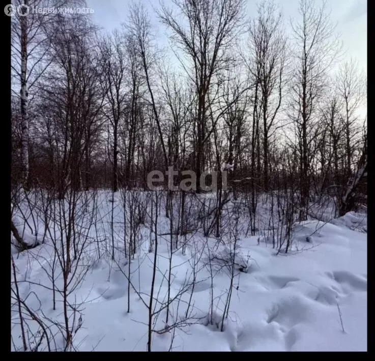 Участок в Вологодская область, Череповецкий муниципальный округ, ... - Фото 2