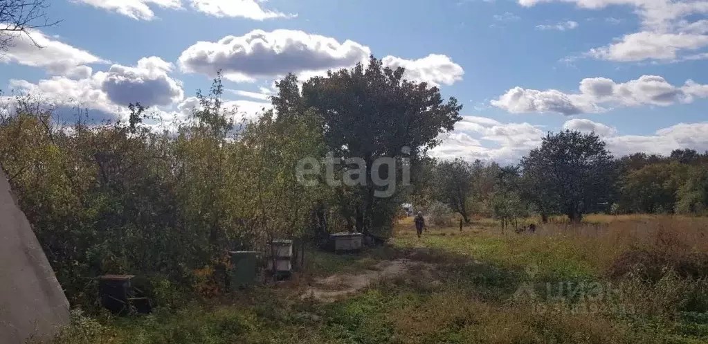 Участок в Амурская область, Благовещенск  (7.7 сот.) - Фото 1