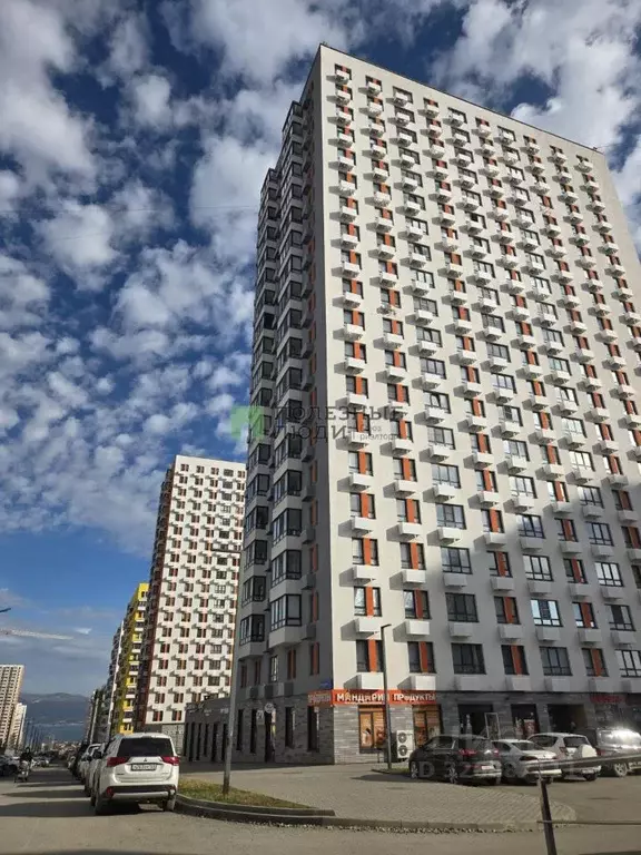 Студия Краснодарский край, Новороссийск ул. Мурата Ахеджака, 3 (25.0 ... - Фото 1