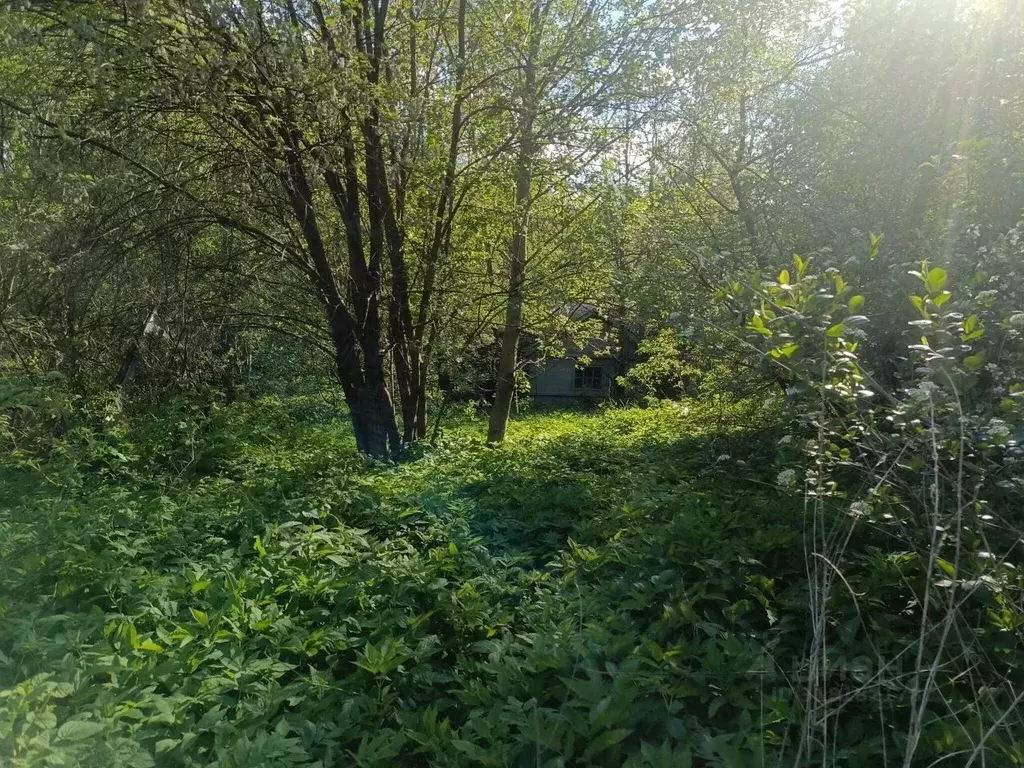 Участок в Владимирская область, Владимир Содышка СНТ, 2 (4.31 сот.) - Фото 0