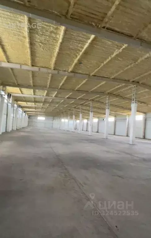 Склад в Новосибирская область, Новосибирский район, Толмачевский ... - Фото 2