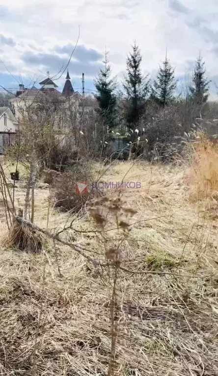 Участок в Московская область, Ленинский городской округ, Молоково пгт ... - Фото 2