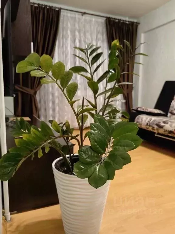 1-к кв. Карелия, Петрозаводск Октябрьский просп., 30А (32.0 м) - Фото 1