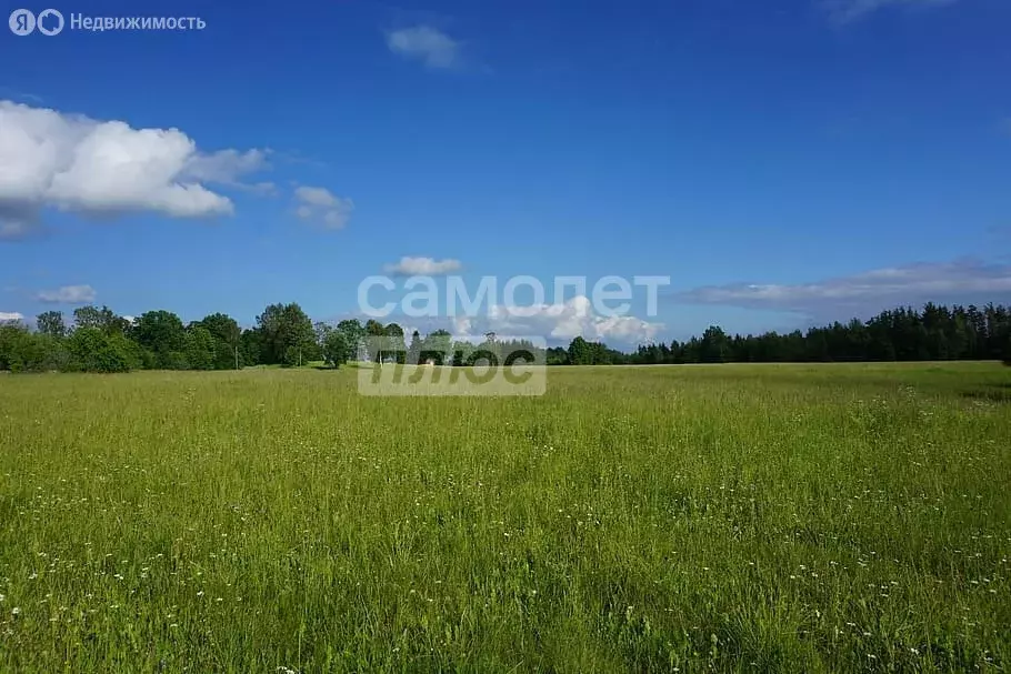 Участок в Московская область, городской округ Клин, деревня Крупенино ... - Фото 0