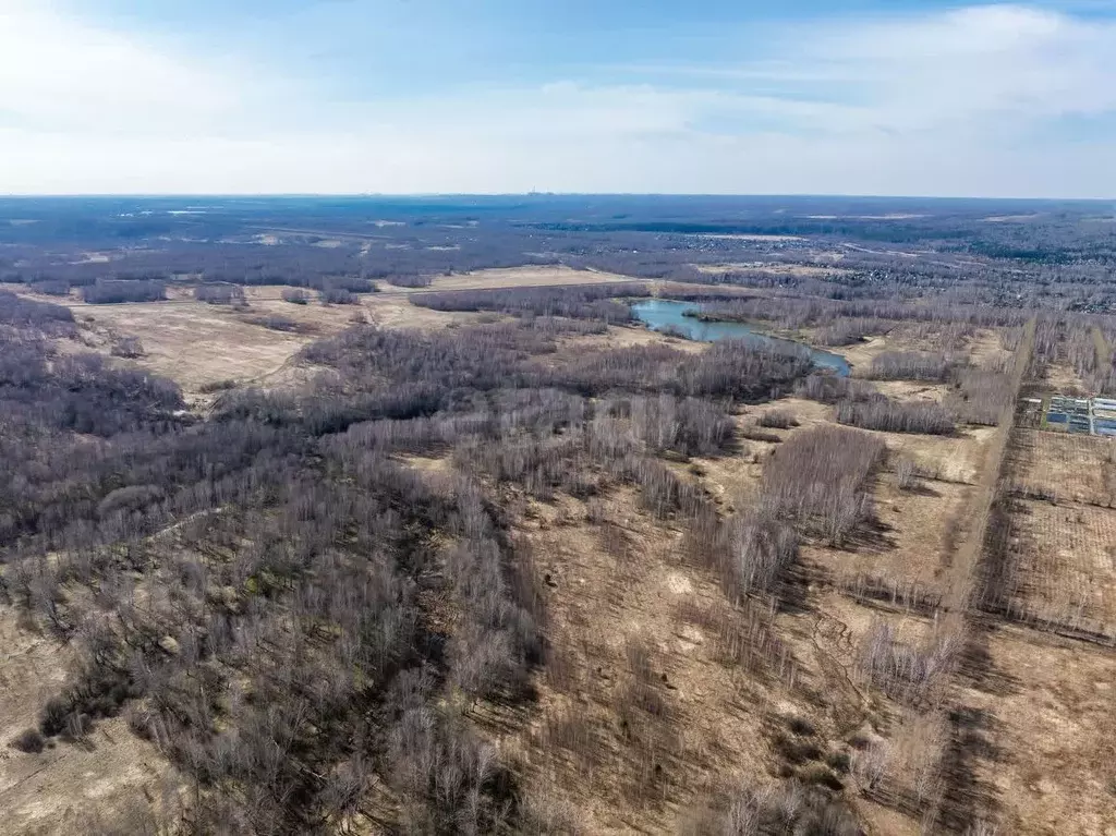 Участок в Новосибирская область, Новосибирский район, Березовский ... - Фото 2