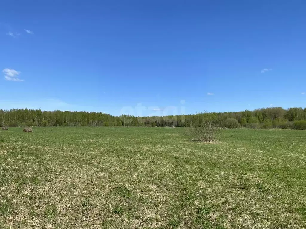 Участок в Московская область, Талдомский городской округ, д. Буртаки 5 ... - Фото 0