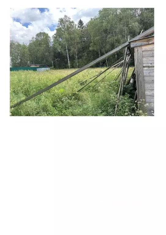 Участок в Московская область, Можайский муниципальный округ, Садовые ... - Фото 2