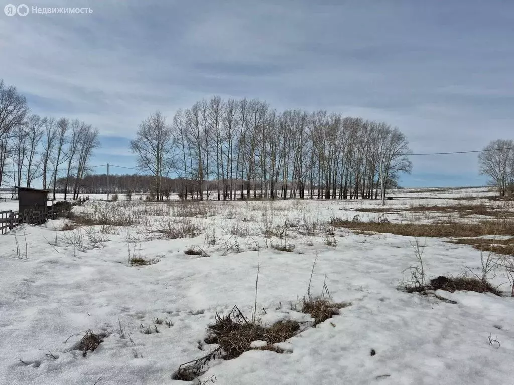 Участок в деревня Зимник, Тепличная улица (19.92 м) - Фото 1