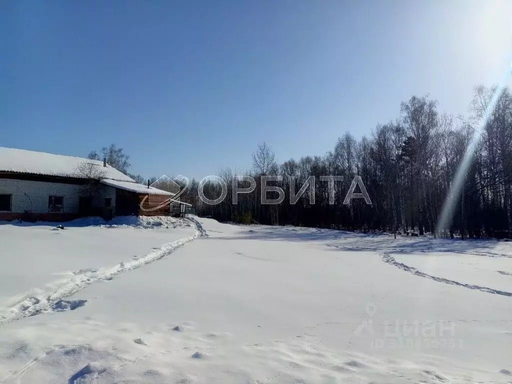 Участок в Тюменская область, Тюменский район, пос. Туринский  (9.52 ... - Фото 1