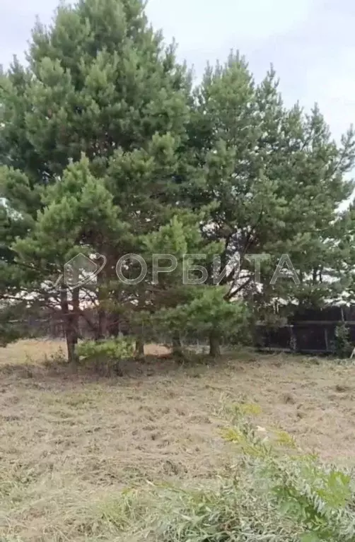 Участок в Свердловская область, Слободо-Туринский район, ... - Фото 2