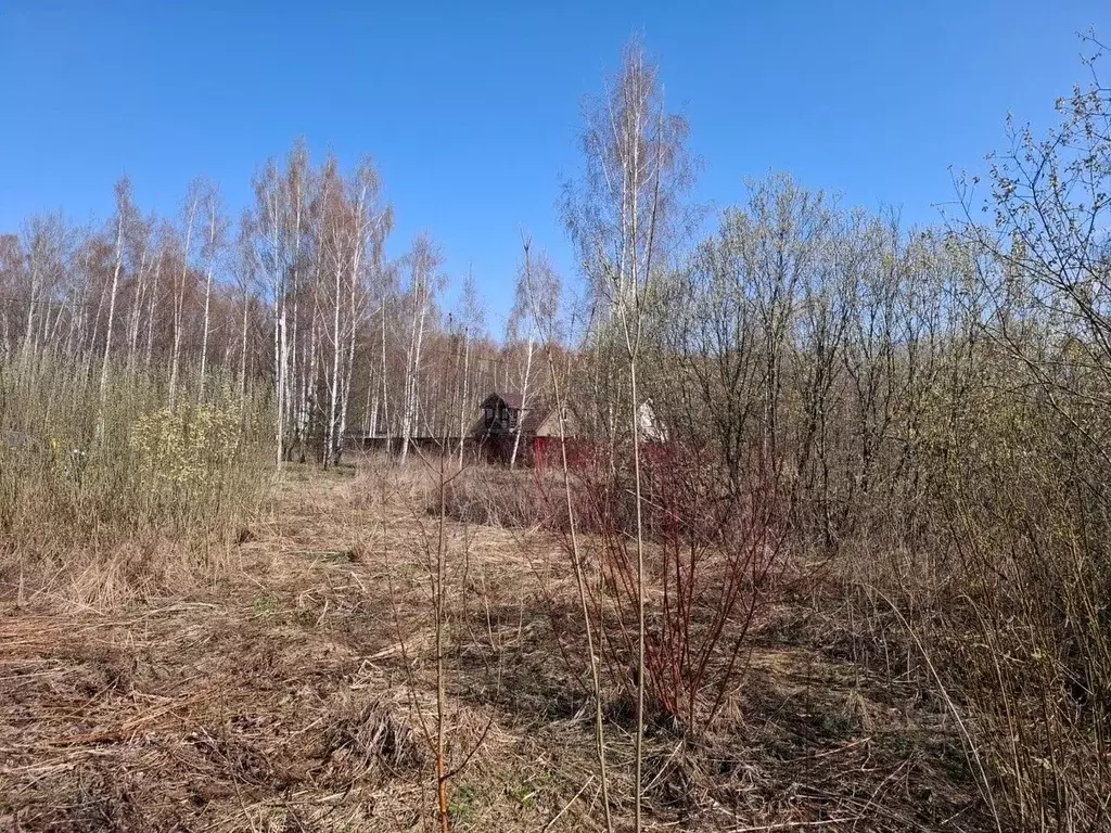 Участок в Владимирская область, Судогодский район, Головинское ... - Фото 1