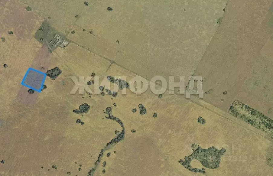 Участок в Новосибирская область, Колывань рп ул. Маяковского (1057.09 ... - Фото 2