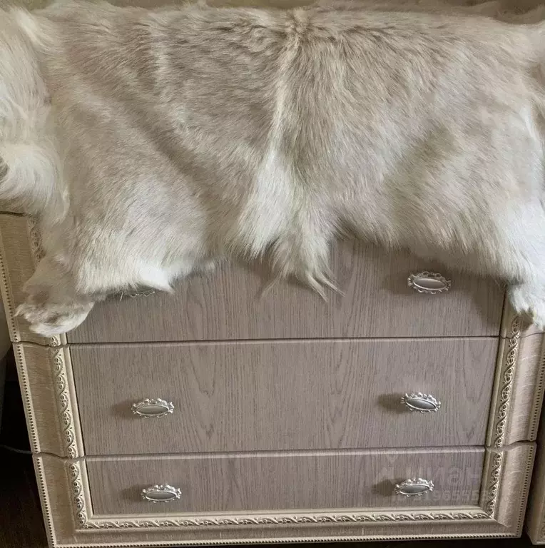 1-к кв. Пермский край, Пермь ул. Героев Хасана, 3А (34.0 м) - Фото 1