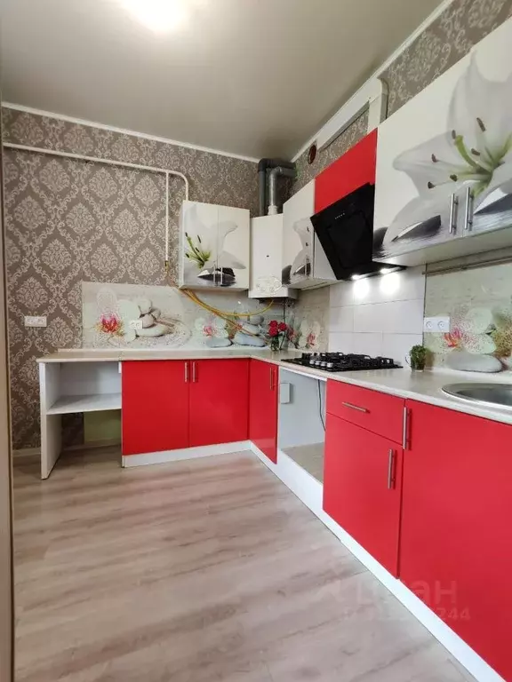 2-к кв. Краснодарский край, Новороссийск Цемдолина тер., ул. Мичурина ... - Фото 0