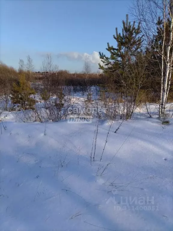 Участок в Иркутская область, Шелеховский район, Баклашинское ... - Фото 0