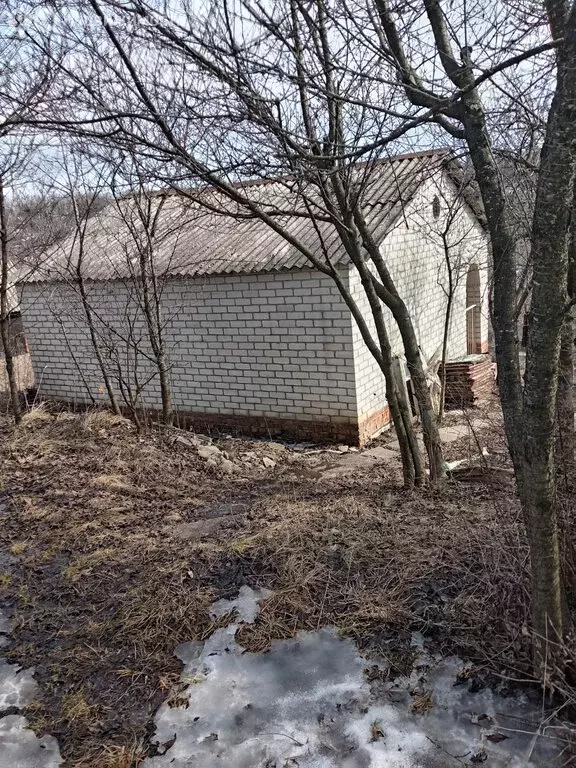 Дом в Белгородская область, Яковлевский муниципальный округ, ... - Фото 2