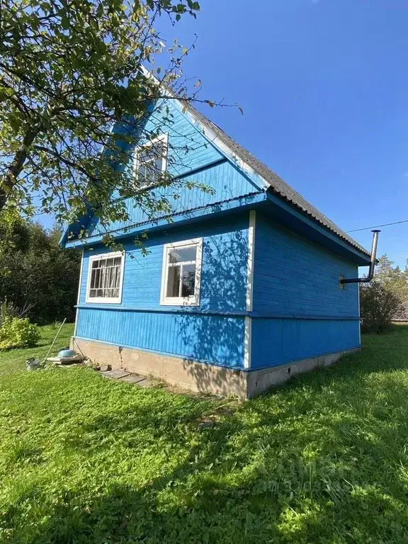 Дом в Ленинградская область, Лужский район, Серебрянское с/пос, ... - Фото 2