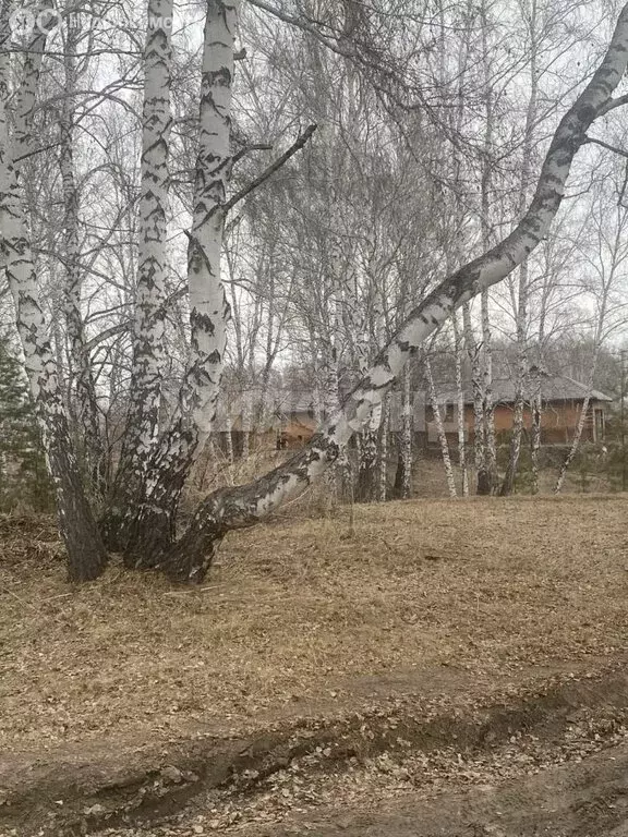 Участок в Новосибирск, Калининский район (10 м) - Фото 0