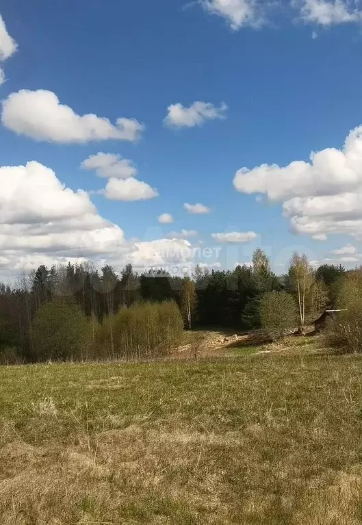 Участок 6 сот. (ИЖС) - Фото 1