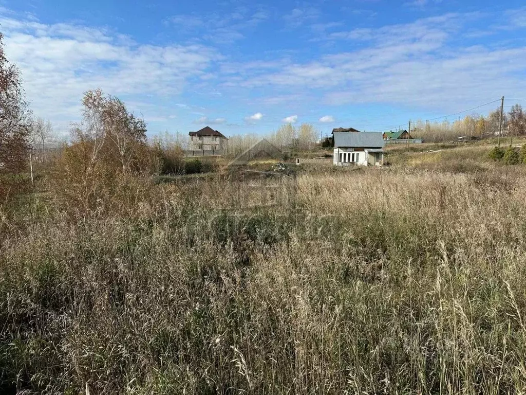 Участок в Красноярский край, Красноярск городской округ, пос. Солонцы ... - Фото 2