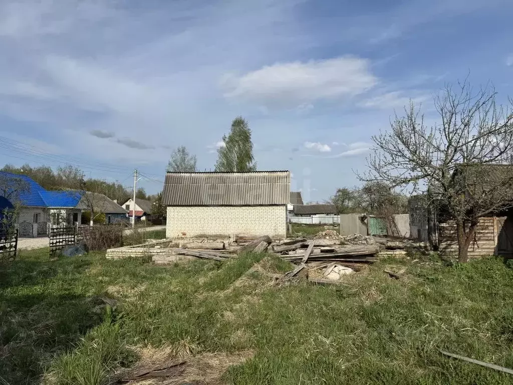Участок в Брянская область, Сельцо Моховая ул. (8.2 сот.) - Фото 0