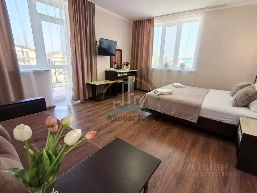 Студия Краснодарский край, Анапа муниципальный округ, с. Витязево ул. ... - Фото 1