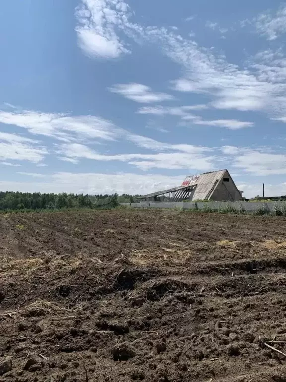 Участок в Иркутская область, Иркутский муниципальный округ, с. ... - Фото 2