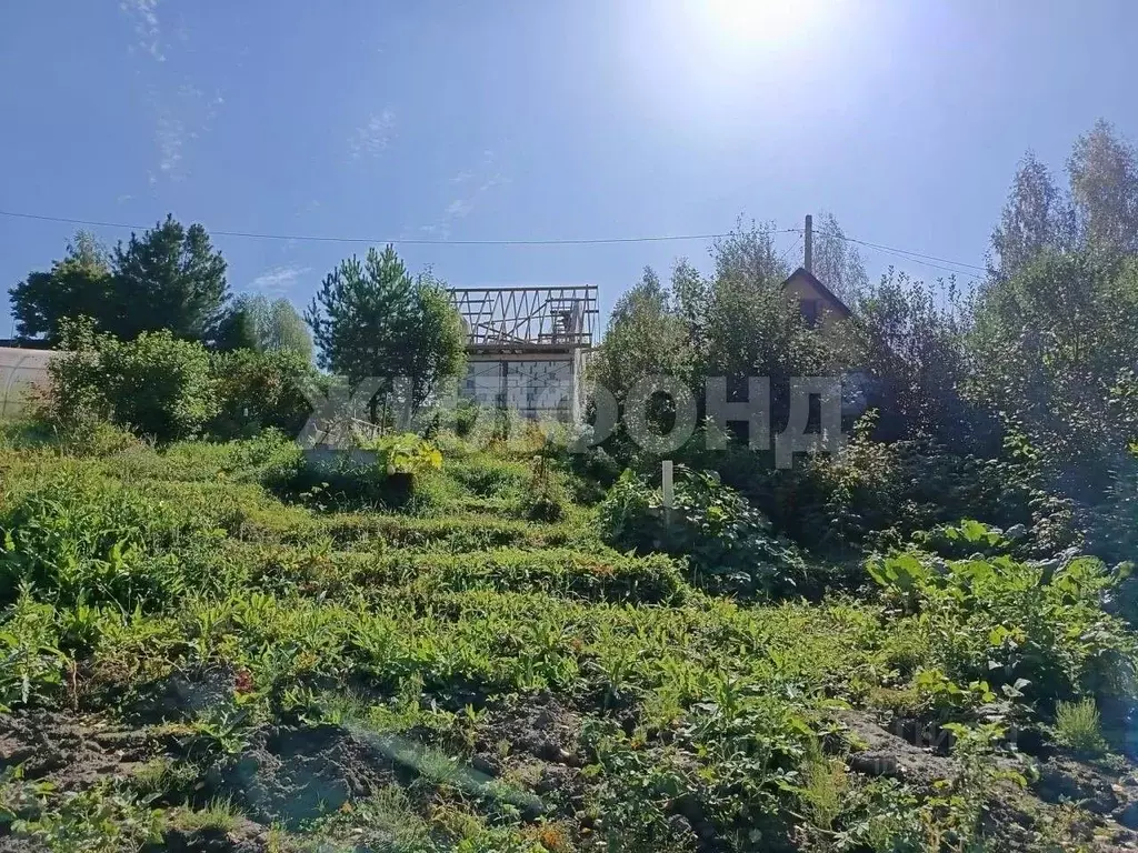 Дом в Новосибирская область, Новосибирск  (24 м) - Фото 2