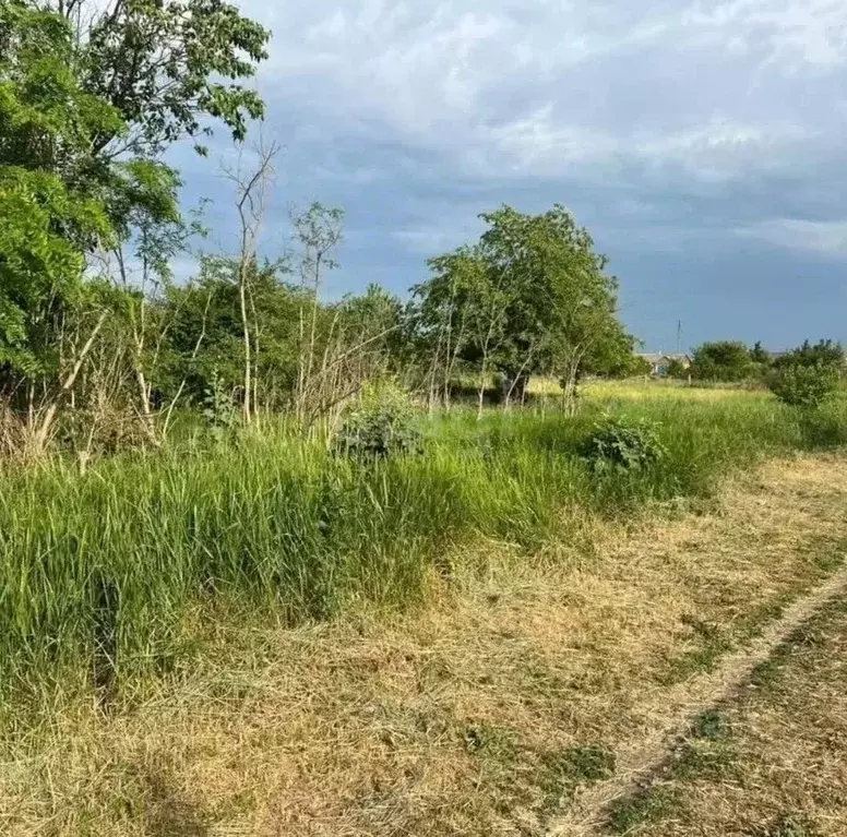 Участок в Ростовская область, Багаевский район, Манычская ст-ца ул. ... - Фото 2